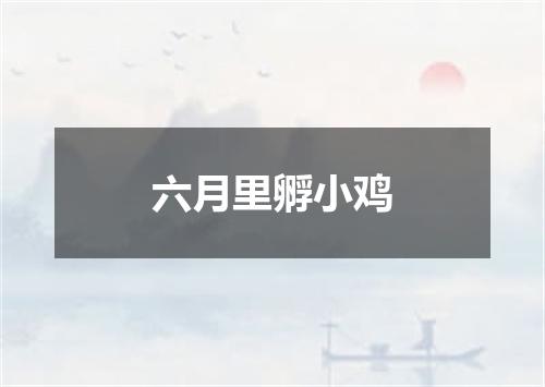 六月里孵小鸡