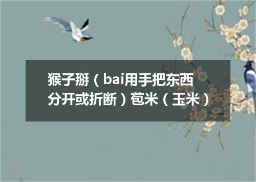 猴子掰（bai用手把东西分开或折断）苞米（玉米）