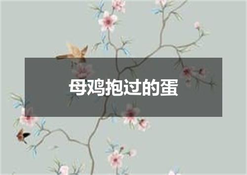 母鸡抱过的蛋