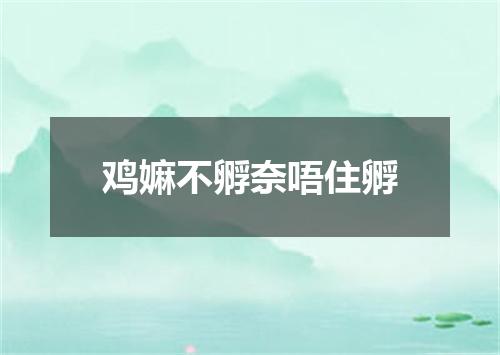 鸡嫲不孵奈唔住孵