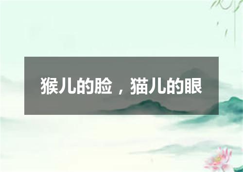 猴儿的脸，猫儿的眼