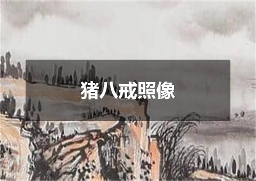 猪八戒照像