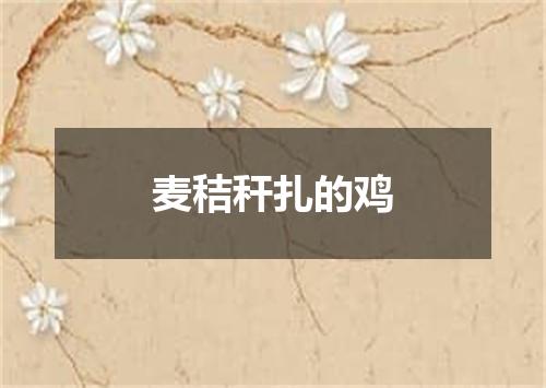 麦秸秆扎的鸡