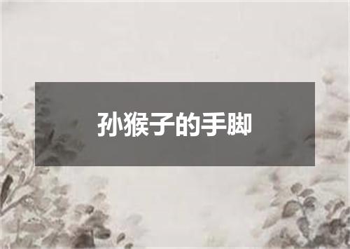 孙猴子的手脚