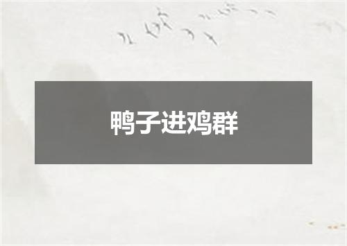 鸭子进鸡群