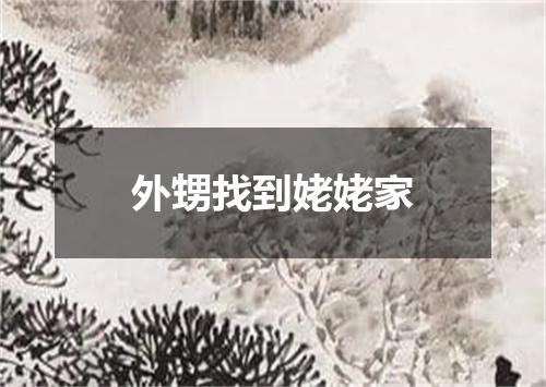 外甥找到姥姥家