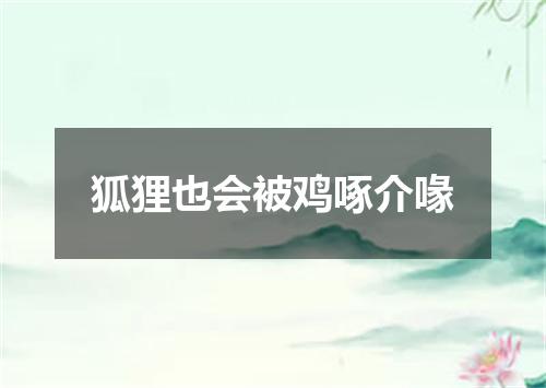 狐狸也会被鸡啄介喙