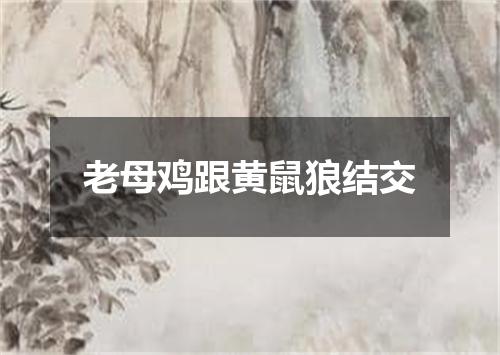 老母鸡跟黄鼠狼结交