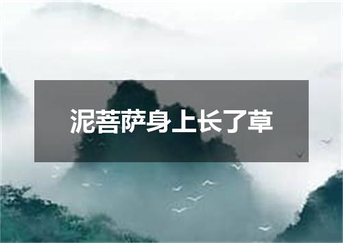 泥菩萨身上长了草