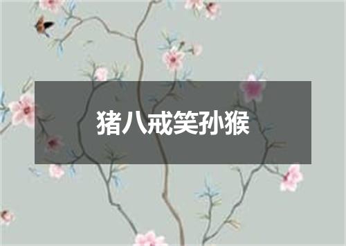 猪八戒笑孙猴