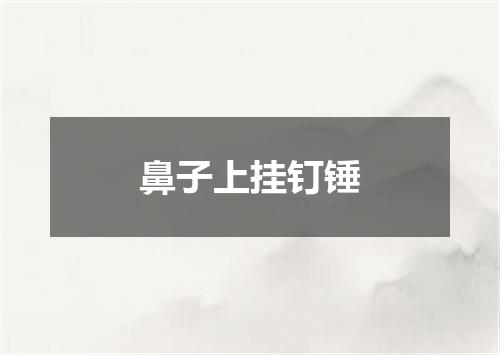 鼻子上挂钉锤