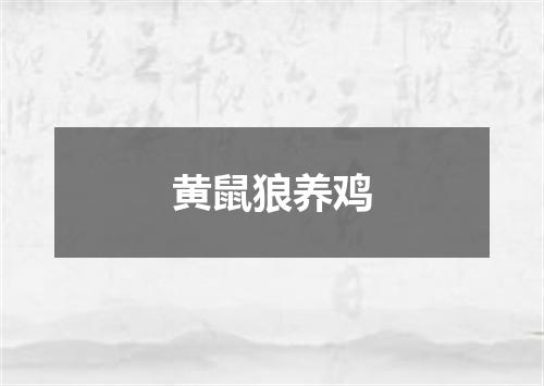 黄鼠狼养鸡
