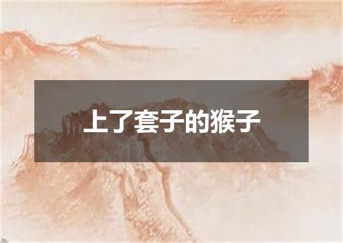 上了套子的猴子