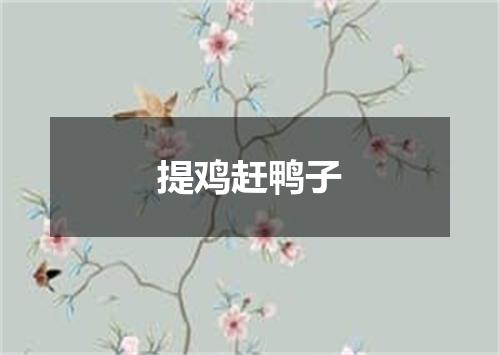 提鸡赶鸭子