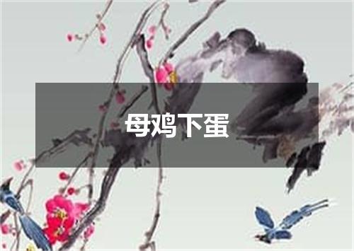 母鸡下蛋