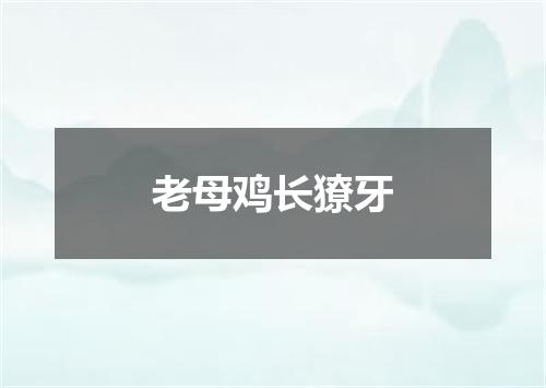 老母鸡长獠牙