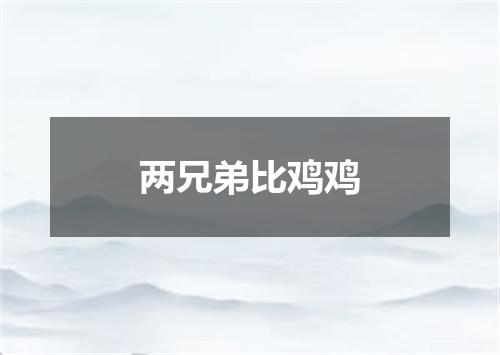两兄弟比鸡鸡