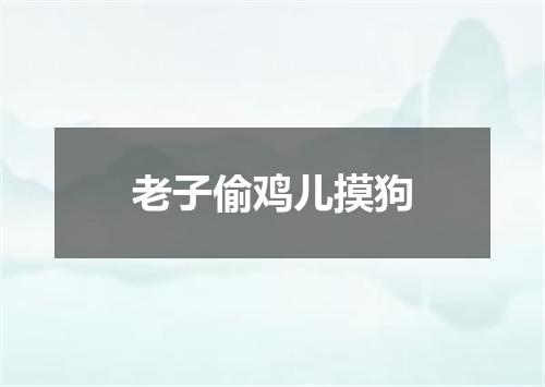 老子偷鸡儿摸狗