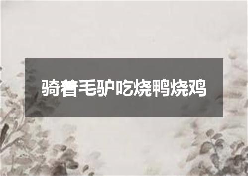 骑着毛驴吃烧鸭烧鸡