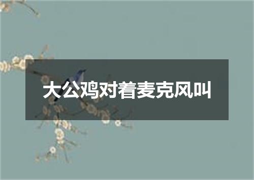 大公鸡对着麦克风叫