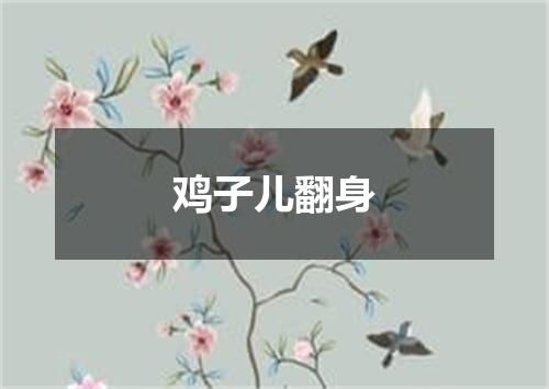 鸡子儿翻身
