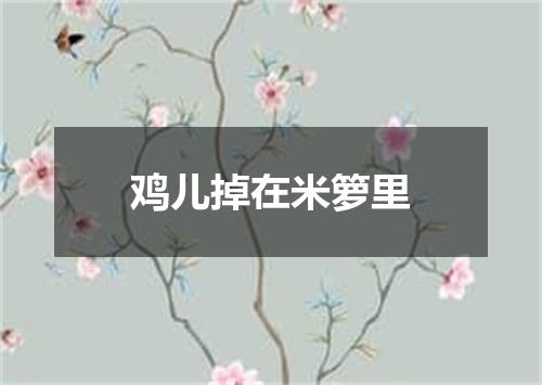 鸡儿掉在米箩里