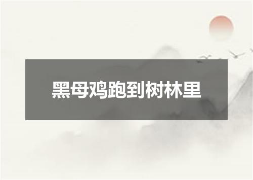 黑母鸡跑到树林里