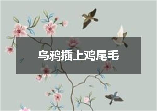 乌鸦插上鸡尾毛