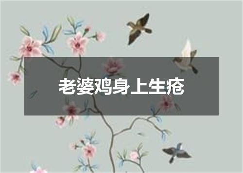老婆鸡身上生疮
