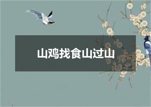 山鸡找食山过山