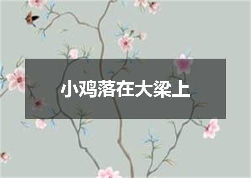 小鸡落在大梁上