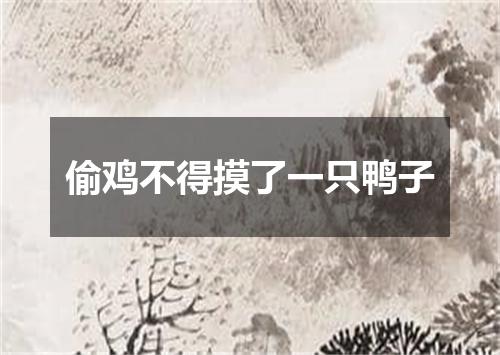 偷鸡不得摸了一只鸭子