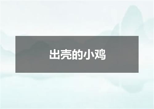 出壳的小鸡
