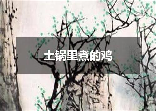 土锅里煮的鸡