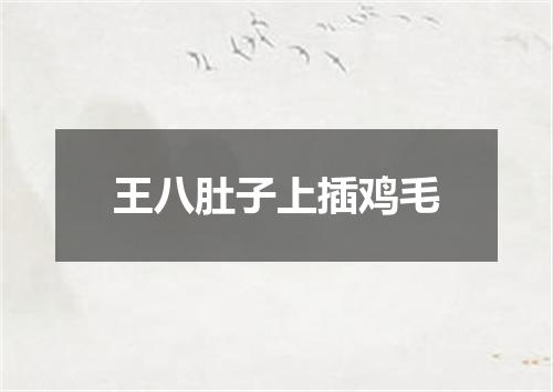 王八肚子上插鸡毛