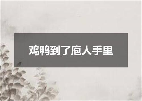 鸡鸭到了庖人手里