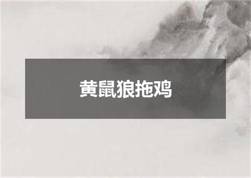 黄鼠狼拖鸡
