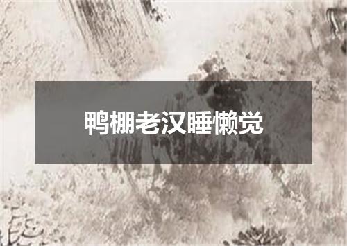 鸭棚老汉睡懒觉