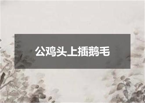 公鸡头上插鹅毛