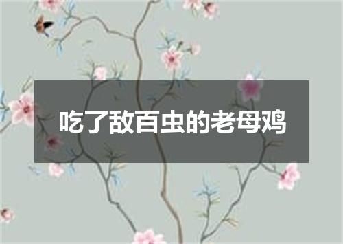 吃了敌百虫的老母鸡