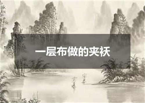 一层布做的夹袄