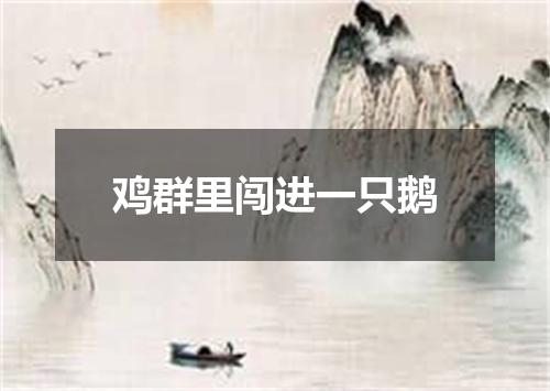 鸡群里闯进一只鹅