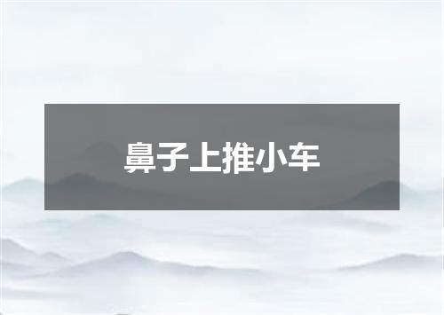 鼻子上推小车