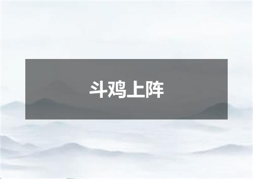斗鸡上阵