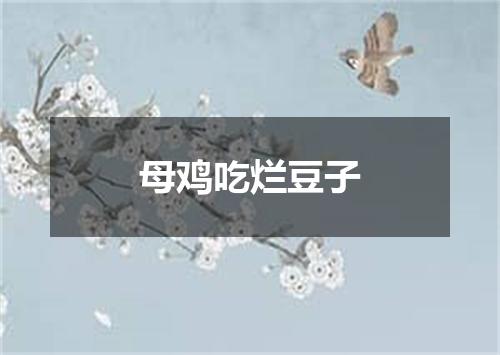 母鸡吃烂豆子