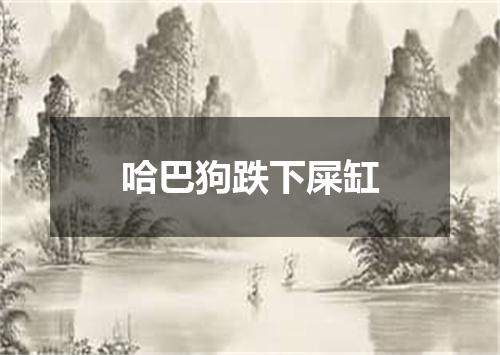 哈巴狗跌下屎缸