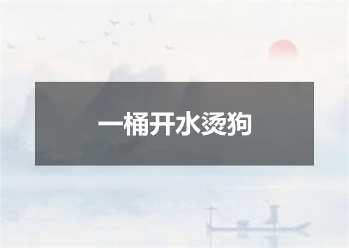 一桶开水烫狗