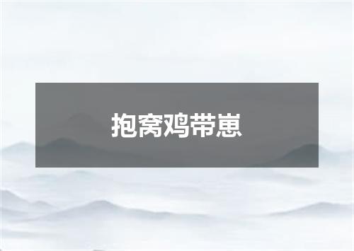抱窝鸡带崽