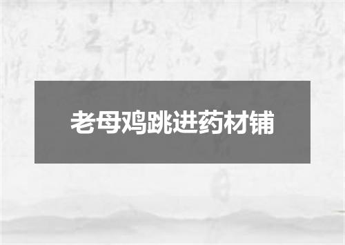 老母鸡跳进药材铺
