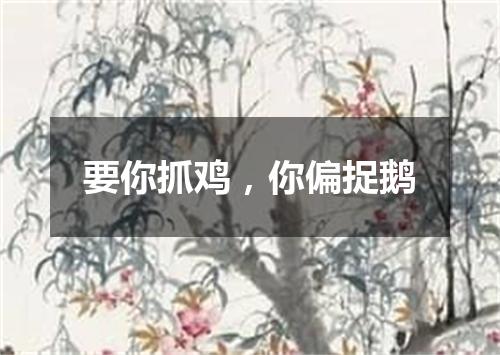 要你抓鸡，你偏捉鹅